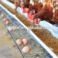 Wholesale 3 Layer Cages for Hens